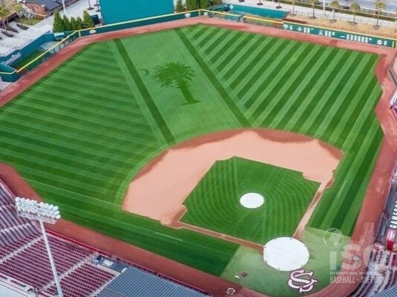 Daily Turf Maintenance Practices field maintenance article